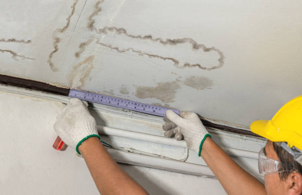 Reliable Water Damage Repair contractor in Olympia, WA by Aqua Guard Water Damage